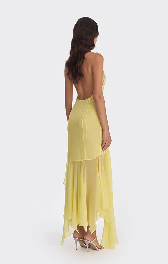 Betta Maxi Slip Dress - Image 5