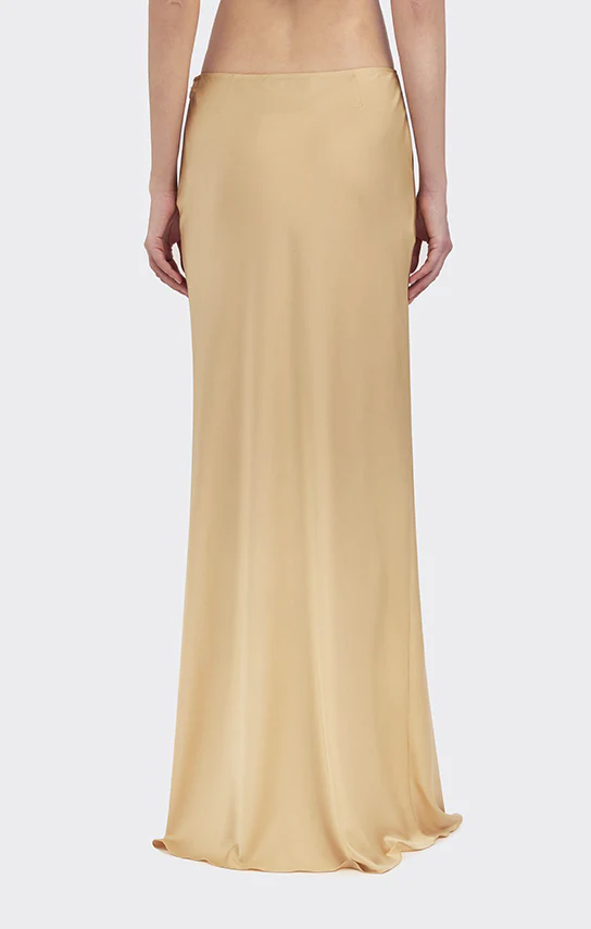Classic Low Waist Maxi Skirt (Satin) - Image 5