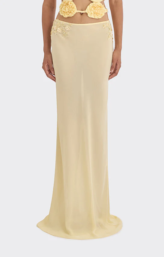 Classic Sheer Lace Maxi Skirt - Image 4