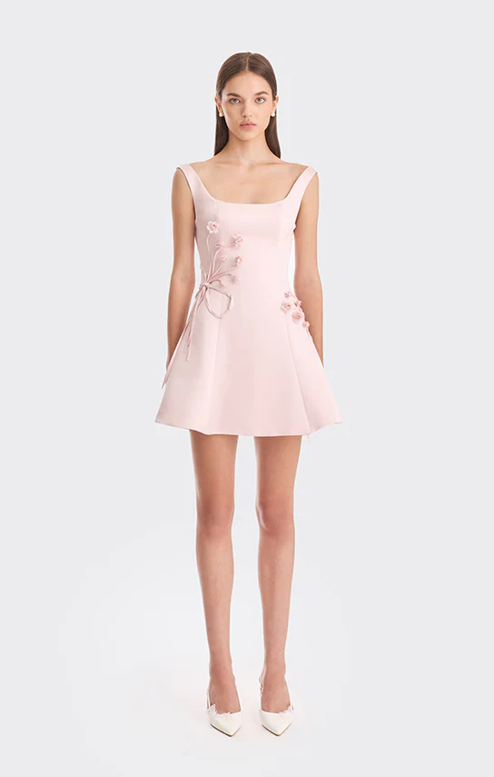 Corset A Line Mini Dress