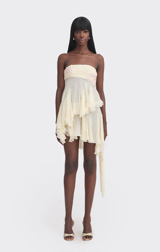 Fairy Tube Top