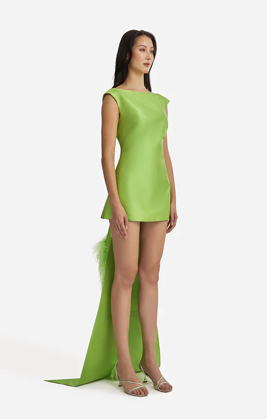 Feather Trimmed Thai Silk Mini Dress - Image 3