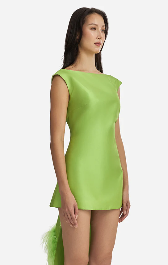 Feather Trimmed Thai Silk Mini Dress - Image 4