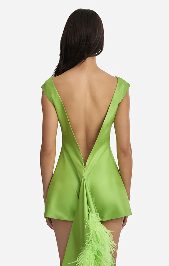 Feather Trimmed Thai Silk Mini Dress - Image 6