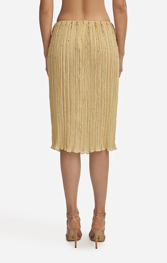 Lotus Pleated Knee Length Embroidered - Image 2