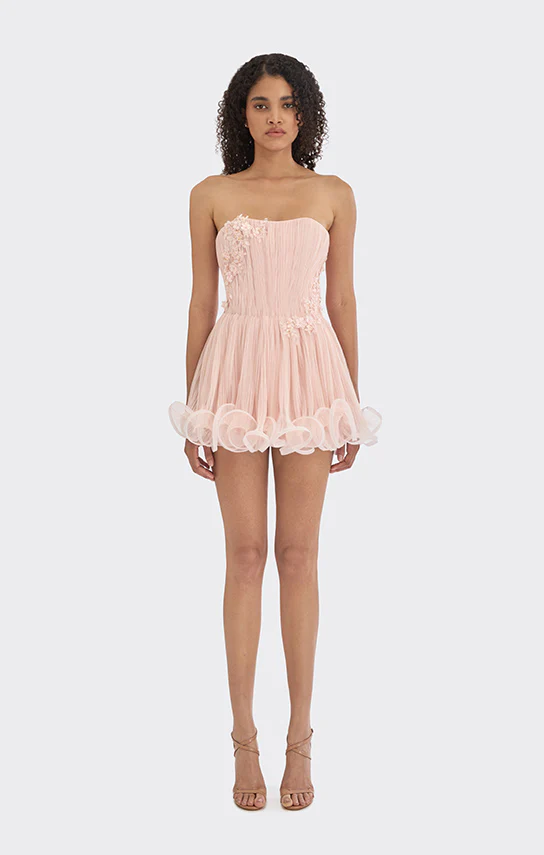 Ms.Tutu Tube Mini Dress