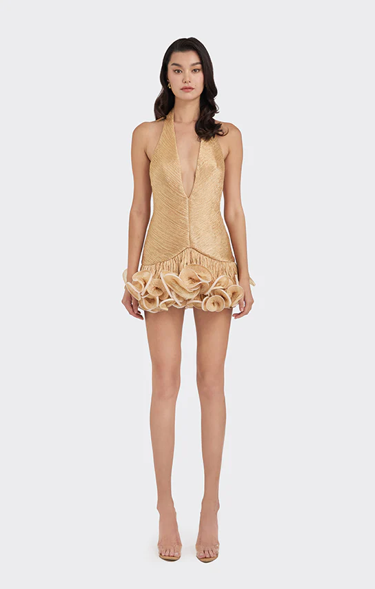 Ms. Tutu V Neck Mini Dress - Image 11