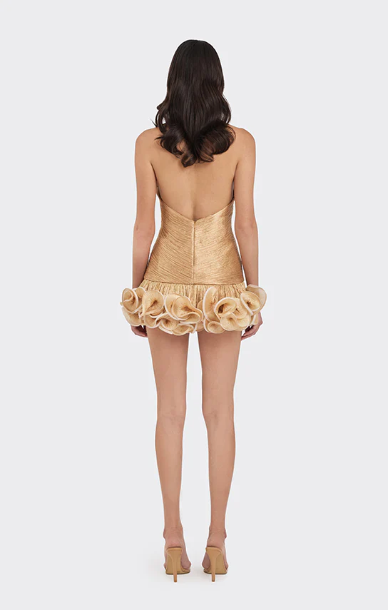 Ms. Tutu V Neck Mini Dress - Image 12