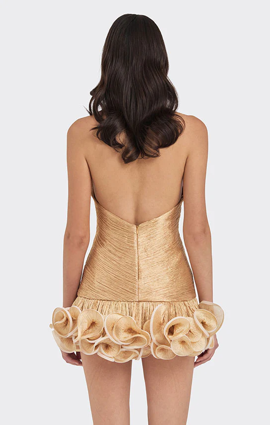 Ms. Tutu V Neck Mini Dress - Image 14