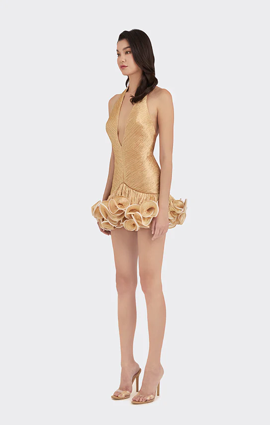 Ms. Tutu V Neck Mini Dress - Image 16