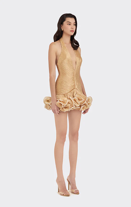 Ms. Tutu V Neck Mini Dress - Image 18