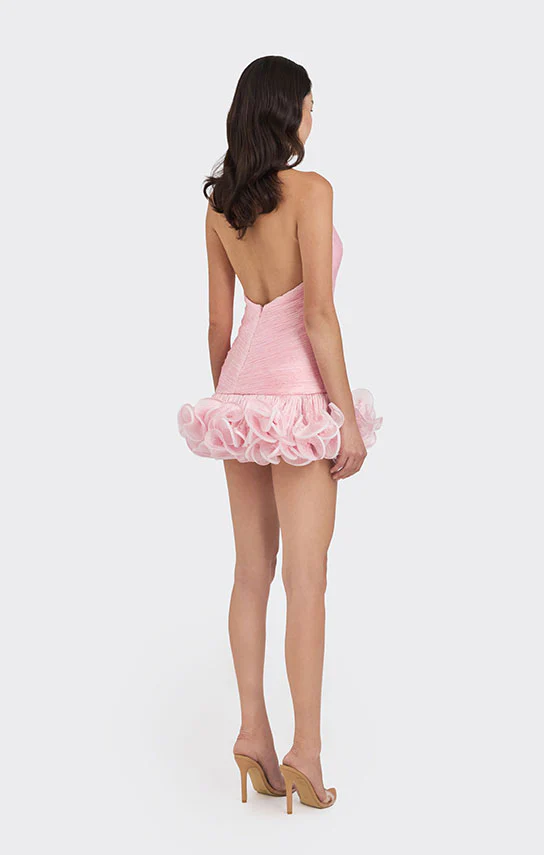 Ms. Tutu V Neck Mini Dress - Image 9