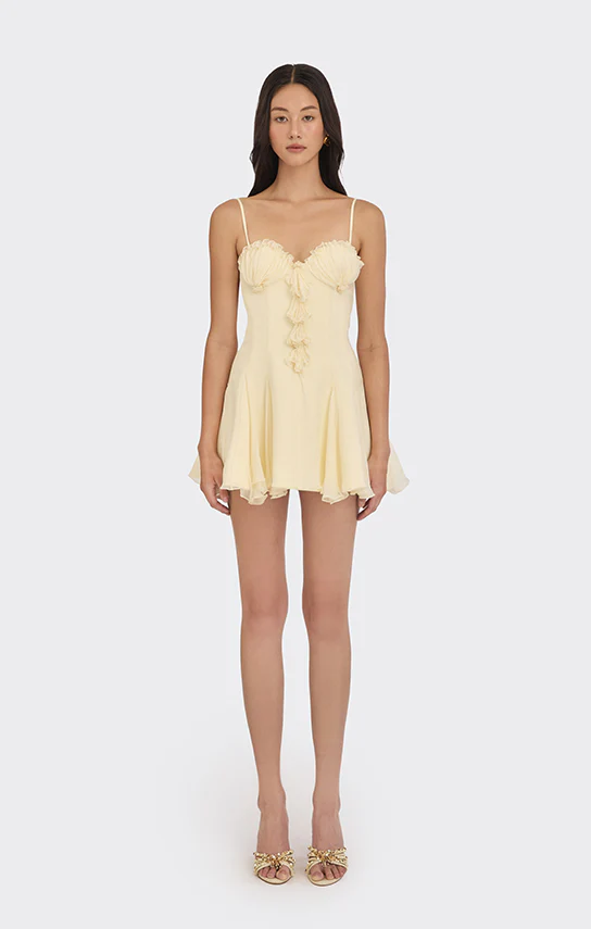 Shell Corset Mini Dress - Image 14