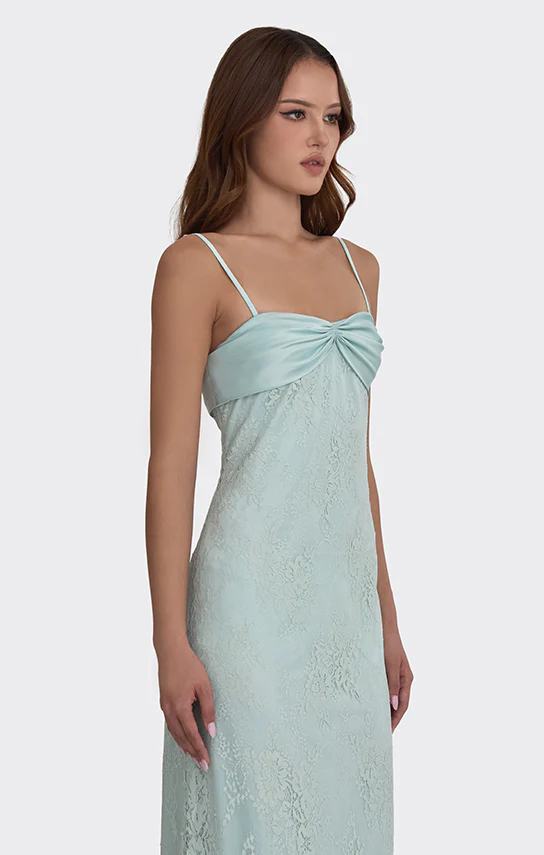 Swan Slip Maxi Dress (Lace) - Image 5
