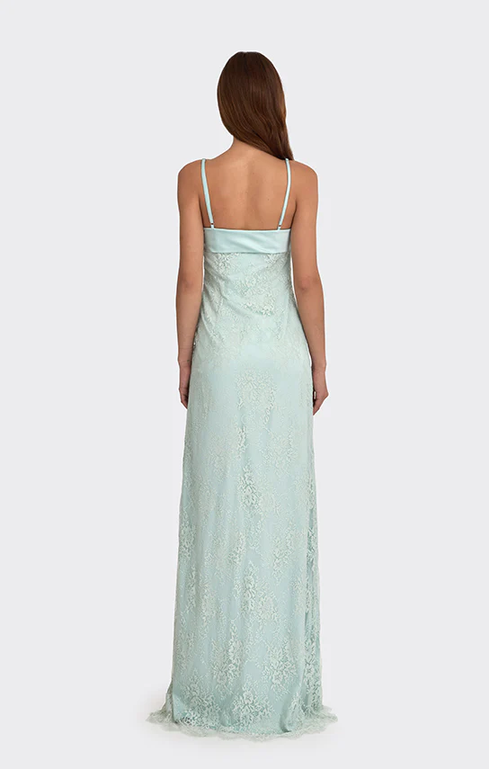 Swan Slip Maxi Dress (Lace) - Image 6