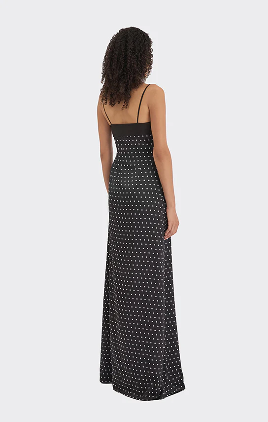 Swan Slip Maxi Dress (Polka Dots) - Image 13